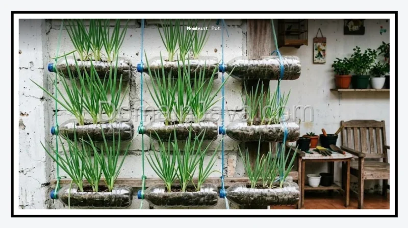6 Cara Membuat Pot Vertikal dari Botol Bekas untuk Daun Bawang di Lahan Sempit