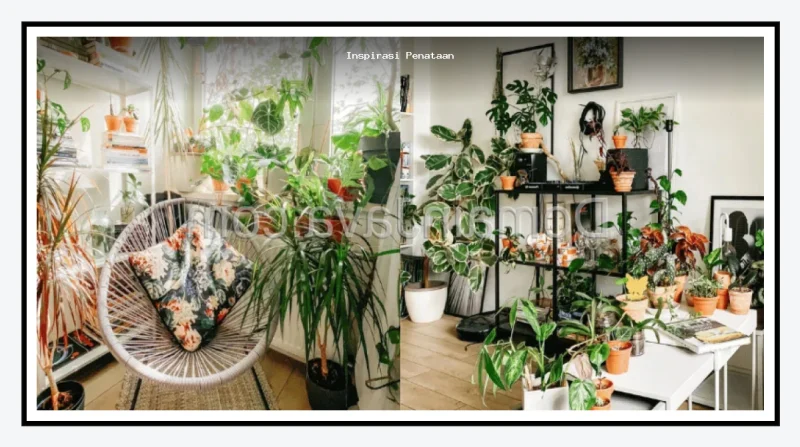 Inspirasi Penataan Plant Nook di Rumah Agar Estetik dan Segar