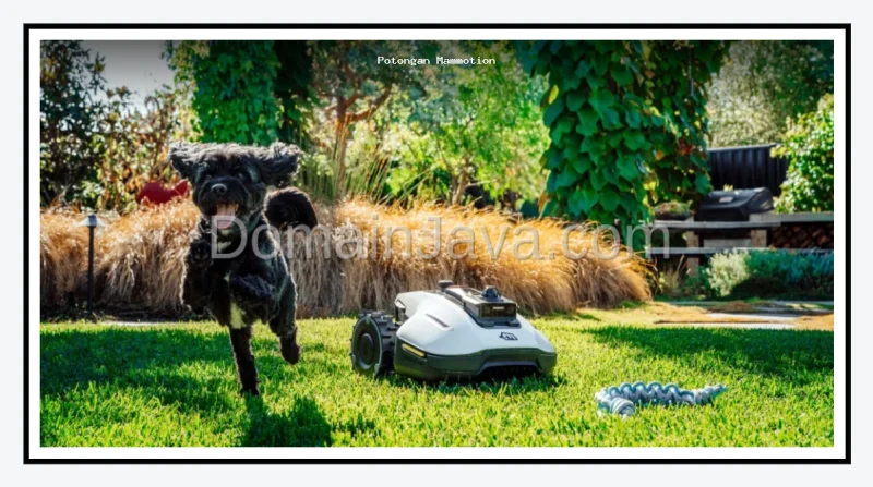 Potongan Harga Mammotion YUKA mini 2 LiDAR Robot Pemotong Rumput